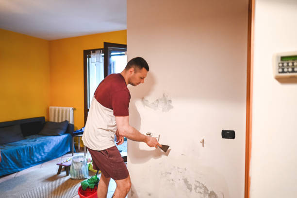 Office Mold Removal Services in Englewood, CO